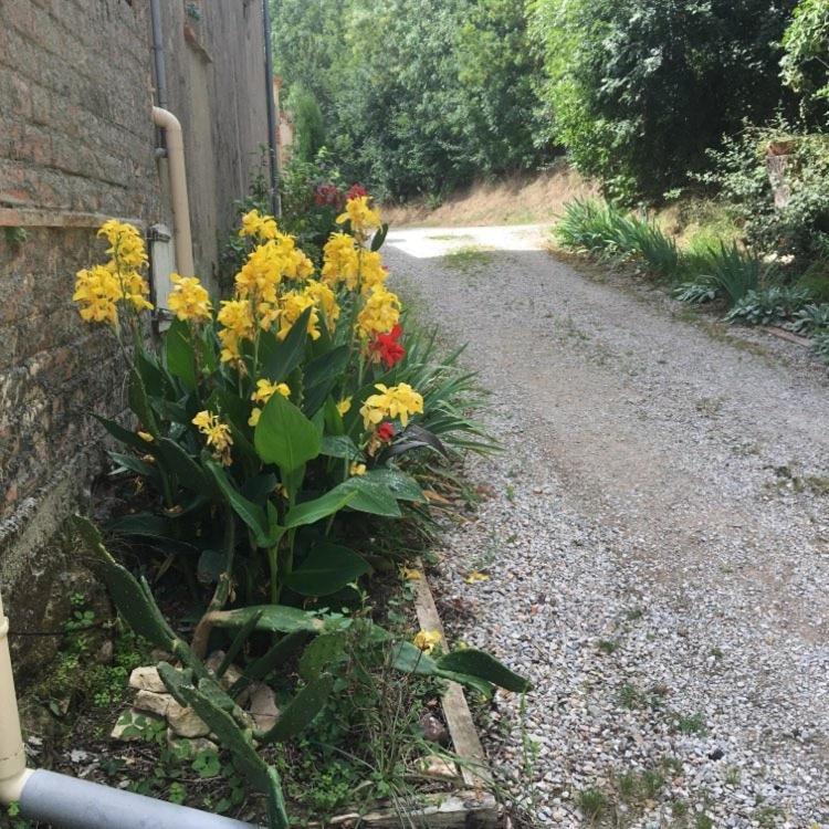 Les Treillettes Villa Puylaurens Exterior foto
